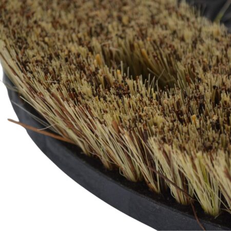 Soie Brosse Chiendent Pour Lustrer Sols
