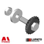 Rouleau Bouchardeur Ø33 De Rechange Granit 1w 20 Pointes Lupato