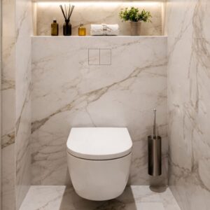 Plaque De Commande Wc